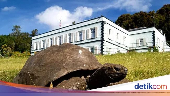 Implikasi dan Manfaat Penelitian