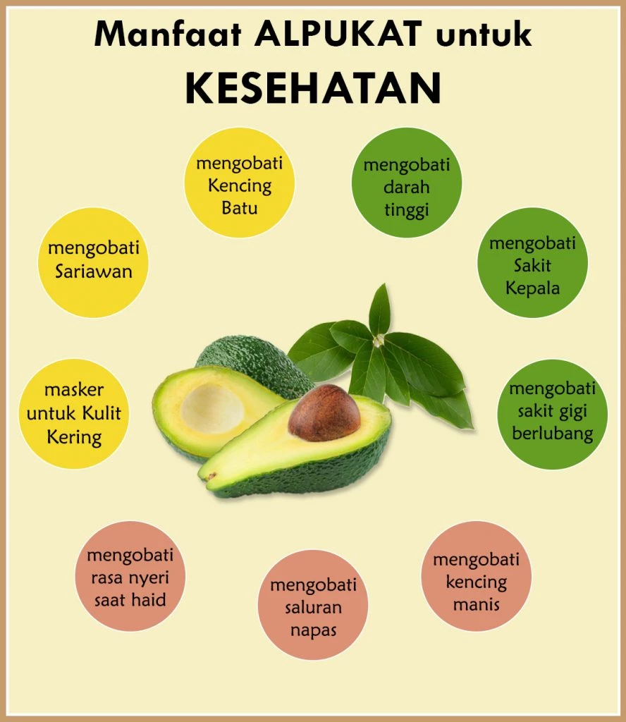 Peran Alpukat dalam Mengontrol Gula Darah