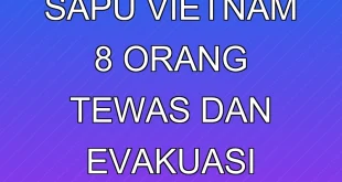 Badai Bualoi Sapu Vietnam, 8 Orang Tewas dan Evakuasi Massal
