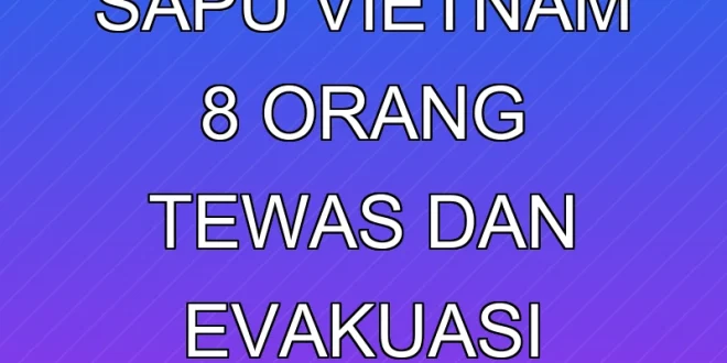 Badai Bualoi Sapu Vietnam, 8 Orang Tewas dan Evakuasi Massal