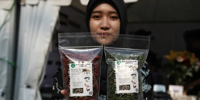 Cara Belanja & Belajar Produk Daur Ulang di Jakarta Eco Future Fest 2024