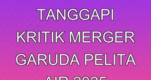 Danantara Tanggapi Kritik Merger Garuda Pelita Air 2025