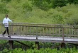 Komitmen Gubernur Bali Jaga Kelestarian Hutan Mangrove Denpasar