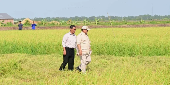 Pemerintah Cetak Sawah di Wanam Merauke untuk Ketahanan Pangan