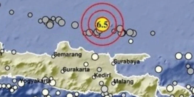 5 Gempa Susulan Talaud Pascagempa 7,6: Analisis & Update BMKG