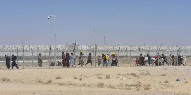 Analisis Penutupan Perbatasan Afghanistan-Pakistan Akibat Baku Tembak Militer