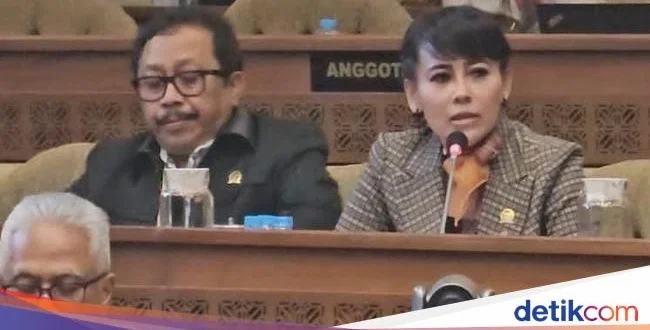 Anggota DPR Tolak Lanjutkan Kasus Private Jet KPU ke Proses Hukum
