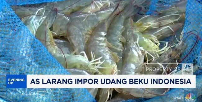AS Perketat Impor Udang RI Karena Kontaminasi Cesium-137