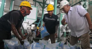 Bos Bulog Tinjau 1.200 Ton Beras Turun Mutu di Ternate