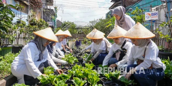 BRI Peduli Perkuat Ketahanan Pangan Lewat Panen Raya BRInita 2025