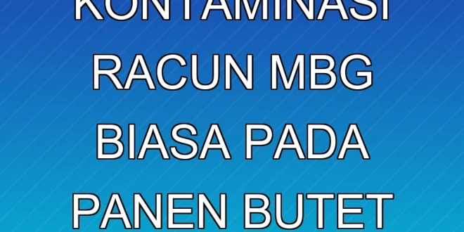 Dampak Kontaminasi Racun MBG Biasa pada Panen Butet Sultan HB X