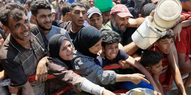Dampak Serangan Israel: 13 Perpustakaan Gaza Hancur 2 Tahun Terakhir