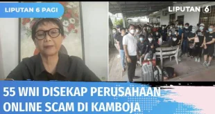Fakta Terbaru Warga Korsel Tewas Scam Online di Kamboja?