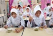 Fenomena Siswa Bawa Serangga Puthul sebagai Lauk MBG Gunungkidul