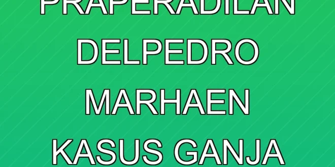 Hakim Tolak Praperadilan Delpedro Marhaen, Kasus Ganja Berlanjut
