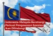Indonesia Malaysia Perkuat Pengawasan Ikan Dilindungi & Telur Penyu