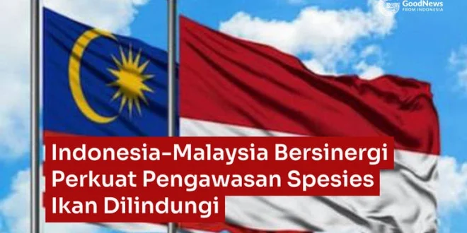 Indonesia Malaysia Perkuat Pengawasan Ikan Dilindungi & Telur Penyu