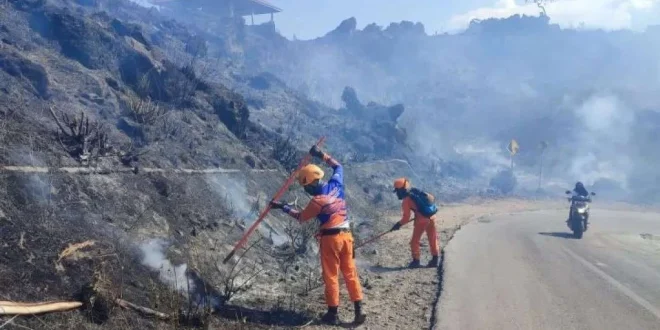 Kebakaran Lereng Gunung Batur Bali Hanguskan 9,8 Hektar