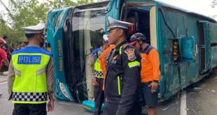 Kecelakaan Bus Jatuh Bukit, 16 Tewas & Evakuasi Darurat