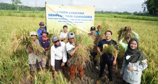 Konflik Gaza & Panen Padi Prancis: Analisis Berita Terkini