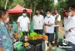 KPK Panggil Eks Dirut Perhutani dan Pejabat PT Paramitra Mulia Terkait Kasus Korupsi