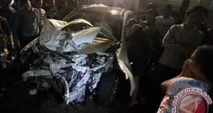 Kronologi Kecelakaan Pohon Tumbang Tewaskan Eks Direktur Danareksa