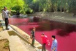 Mengapa Sungai Rawa Buntu Tangsel Berubah Merah? Analisis Terbaru