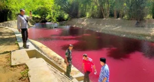 Mengapa Sungai Rawa Buntu Tangsel Berubah Merah? Analisis Terbaru
