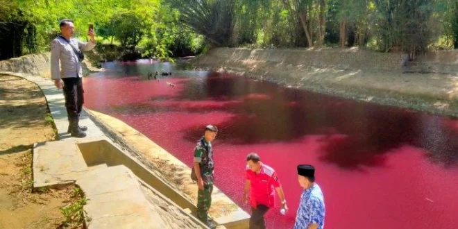 Mengapa Sungai Rawa Buntu Tangsel Berubah Merah? Analisis Terbaru