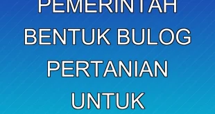 Nelayan Minta Pemerintah Bentuk Bulog Pertanian untuk Stabilkan Harga