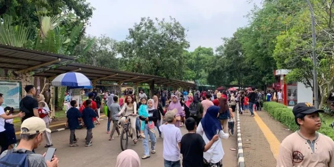 Penataan Parkir Prioritas di Wisata Malam Ragunan Membeludak