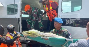 Penembakan KKB Serang Rombongan Kapolda Papua: Fakta & Respons Terbaru