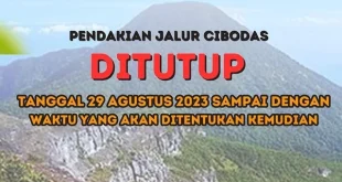 Penutupan Gunung Gede Pangrango: Perlindungan Ekosistem Penting