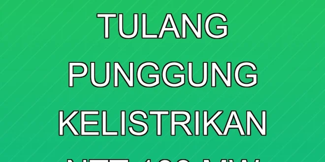 PLTU Timor-1: Tulang Punggung Kelistrikan NTT 100 MW
