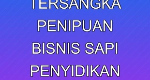 Polisi Maros Tersangka Penipuan Bisnis Sapi, Penyidikan Intensif