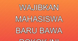 PPI Tunisia Diduga Wajibkan Mahasiswa Baru Bawa Rokok, Ini Faktanya