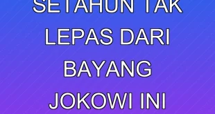 Prabowo Setahun Tak Lepas dari Bayang Jokowi, Ini Faktanya