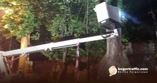 Pramono Pasang Penyangga 5000 Pohon Cegah Tumbang Sekitar Kawasan Kota
