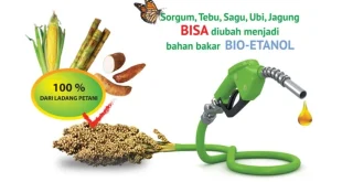 Target Etanol 10% BBM 2025: Analisis Finansial dan Dampak Ekonomi