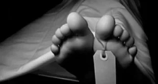 Terapi Wanita Tewas di Lahan Kosong Jakarta Selatan: Fakta & Penyelidikan