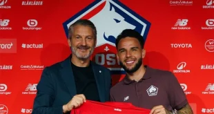 Verdonk Kiper Lille Gemilang Lawan AS Roma di Liga Champions