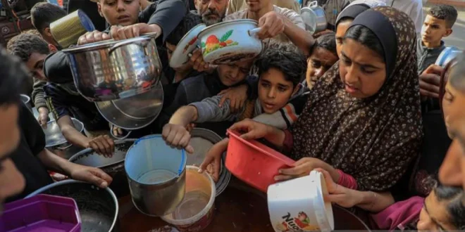 WHO Laporkan Kelaparan Tinggi di Gaza Pasca Gencatan Senjata