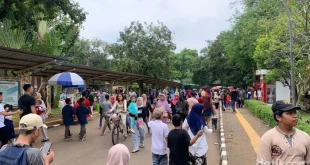 Wisata Malam Ragunan Membeludak, Penataan Parkir Jadi Prioritas