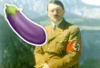 Analisis DNA Terbaru: Fakta Mikropenis & Testis Hitler
