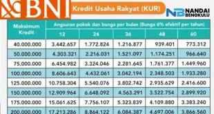 Analisis Penyaluran KUR BNI Rp 936,5 M bagi Pekerja Migran 2025