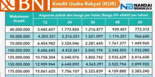 Analisis Penyaluran KUR BNI Rp 936,5 M bagi Pekerja Migran 2025