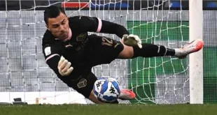 Analisis Performa Emil Audero Juventus di Serie A Terbaru
