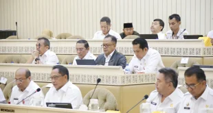 Award Detik Ekonomi Daerah: Penghargaan Inovasi Tata Kelola Daerah