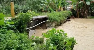 Banjir Rob Parigi Moutong: 40 KK Terdampak dan Evakuasi Cepat