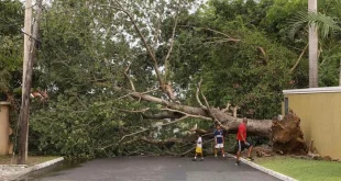 Bantuan Perancis ke Jamaika Usai Badai Melissa: Fakta Terbaru